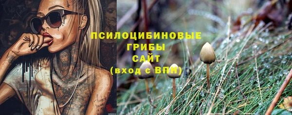 мдпв Надым