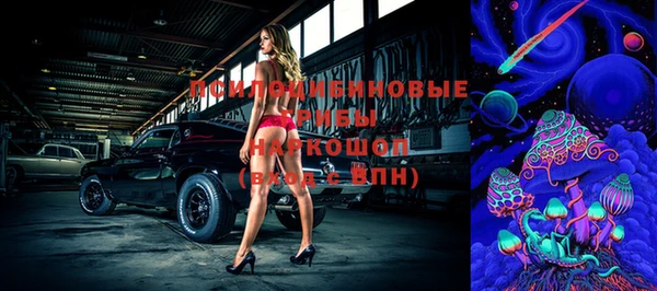 мдпв Надым
